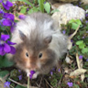 Meet your Posher, Alexandra